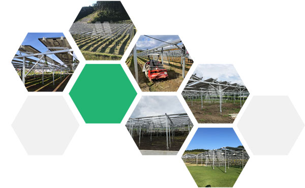 Uniqueness of Mibet Agri-PV Mounting System Well Received in Japan