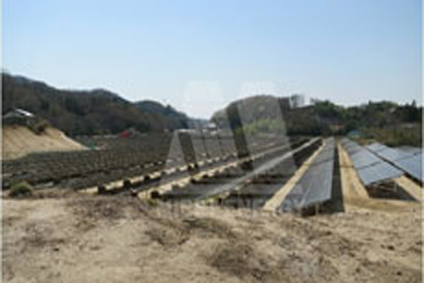 A Marriage Between Solar and Forest: Japan Promotes Wooden PV Racking Systems