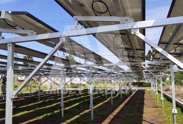 How Farmers Can Benefit from Agricultural PV Systems