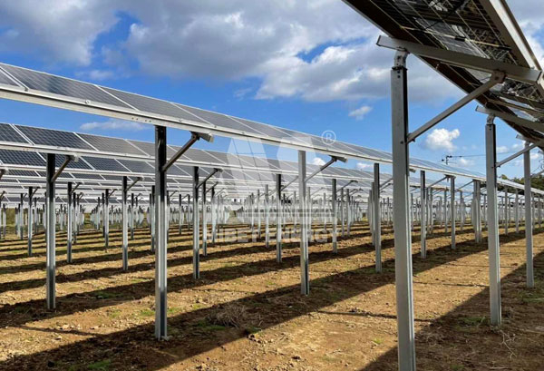 Uniqueness of Mibet Agri-PV Mounting System Well Received in Japan