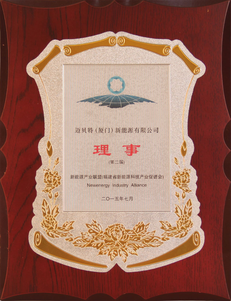 Director of Fujian New Energy Technology Industry Promotion Association